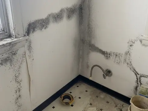 Black mould spread across a bathroom corner where the lining has stayed wet, the vanity already out and the wall ready to be cut back.